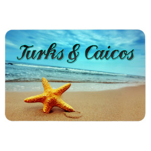 Seesterne aus Turks und Caicos Magnet