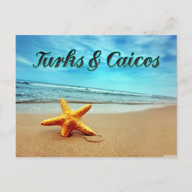 Seesterne aus Turks und Caicos Postkarte (Vorderseite)