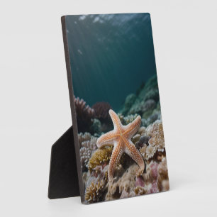 Seesterne in der Tiefsee Fotoplatte