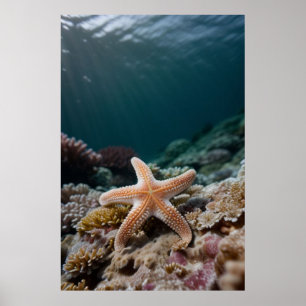 Seesterne in der Tiefsee Poster
