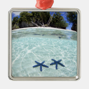 Seesterne, Rock Islands, Palau 2 Silbernes Ornament