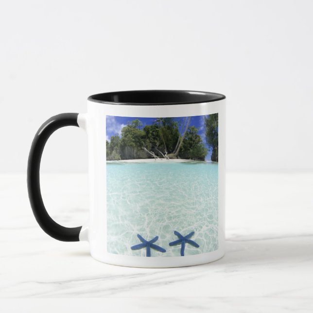 Seesterne, Rock Islands, Palau Tasse (Links)