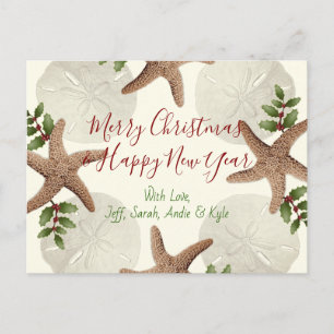 Seesterne und Sanddollars Weihnachtspostkarte Feiertagspostkarte