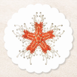 Seesterne Untersetzer