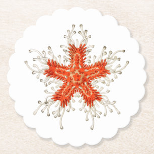 Seesterne Untersetzer