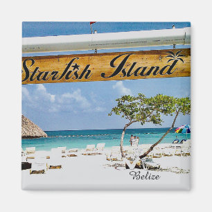 Seesternhausen Insel Belize Magnet