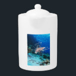 Seeteufel oder Seemeilen, Seefische der Ocean Reef<br><div class="desc">Eine Welle von Sonnenlicht durchstrahlt das blaue Wasser und beleuchtet ein lebendiges Korallenriff, das mit Leben erfüllt wird. Sonnenlicht tanzt auf der Oberfläche und schafft einen schimmernden Pfad durch den türkisfarbenen Sand, der sanft nach oben abfällt, um zum links zu gelangen. Im Vordergrund, farbenfrohe Korallen, wie Miniatur, lebend Zelte in...</div>