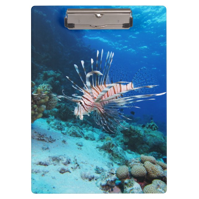 Seeteufel oder Seemeilen, Seefische der Ocean Reef Klemmbrett (Vorderseite)