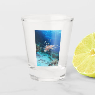 Seeteufel oder Seemeilen, Seefische der Ocean Reef Schnapsglas