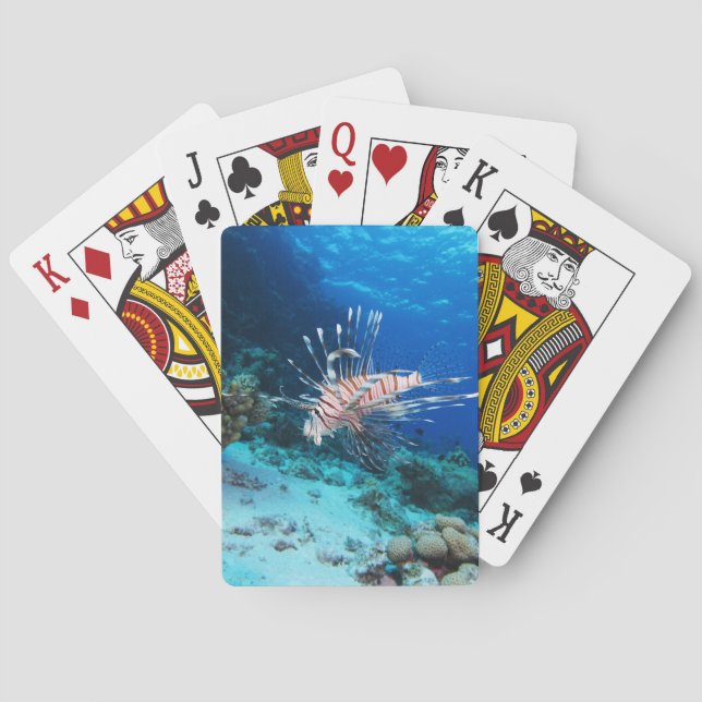Seeteufel oder Seemeilen, Seefische der Ocean Reef Spielkarten (Rückseite)