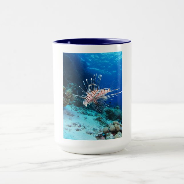 Seeteufel oder Seemeilen, Seefische der Ocean Reef Tasse (Zentrum)