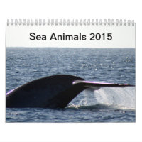 Seetiere 2015