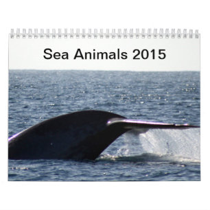 Seetiere 2015 kalender