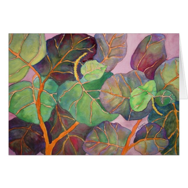 Seetrauben (Vorderseite (Horizontal))