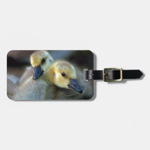 Seeufer Gepäckanhänger
