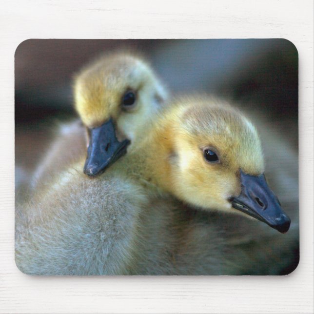 Seeufer Mousepad (Vorne)