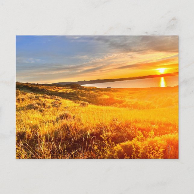 Seeuferfeld Postkarte (Vorderseite)
