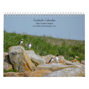 Seevögel auf Machias Siegel Island 2026 Kalender