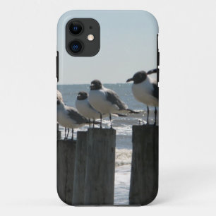 SEEvögel iPhone 11 Hülle