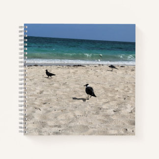 Seevögel & Kritzeleien Notizbuch