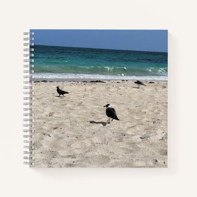 Seevögel & Kritzeleien Notizbuch (Vorderseite)