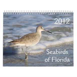 Seevögel von Florida 2012 Kalender