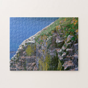 Seevogelkolonie auf felsiger Klippe Puzzle