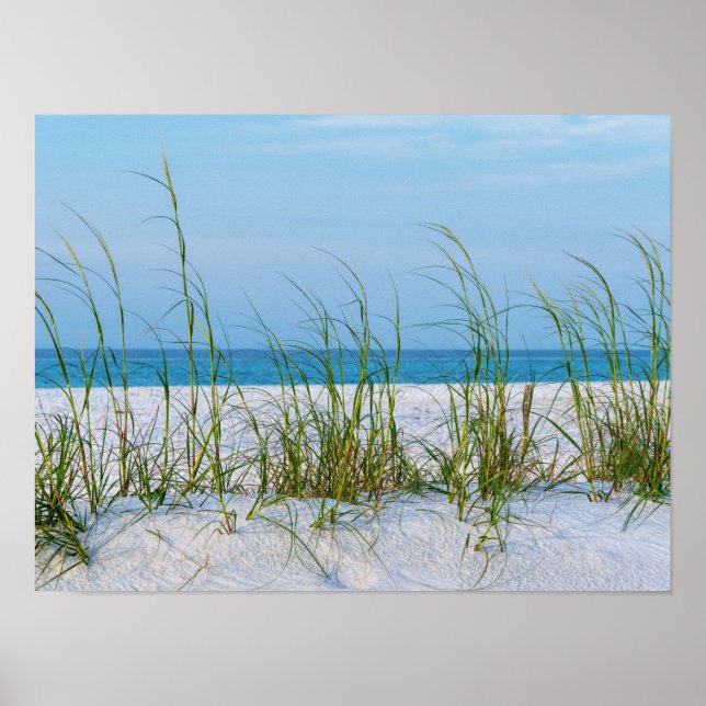 Seeziegel im weißen Sand Poster (Vorne)