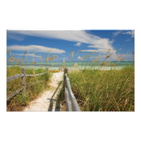 Seeziegen (Uniola paniculata), die am Strand angeb
