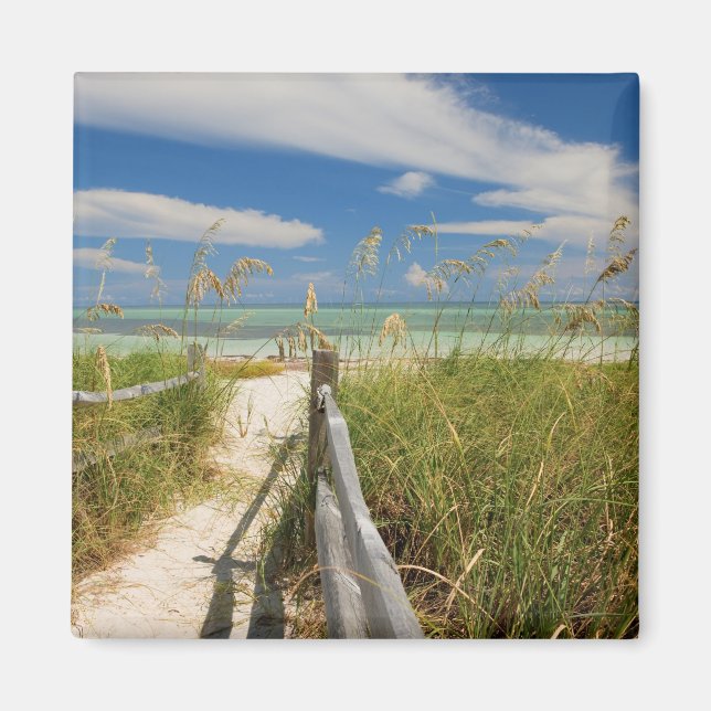 Seeziegen (Uniola paniculata), die am Strand angeb Magnet (Vorne)