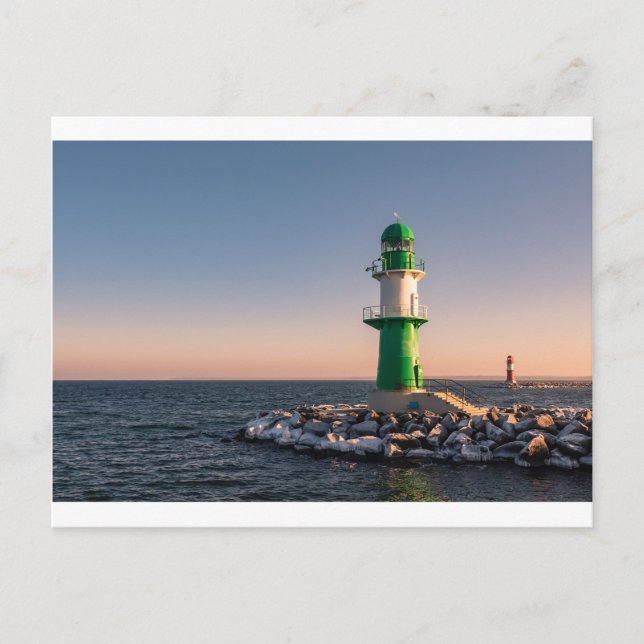 Seezunge an der Ostseeküste in Deutschland Postkarte (Vorderseite)