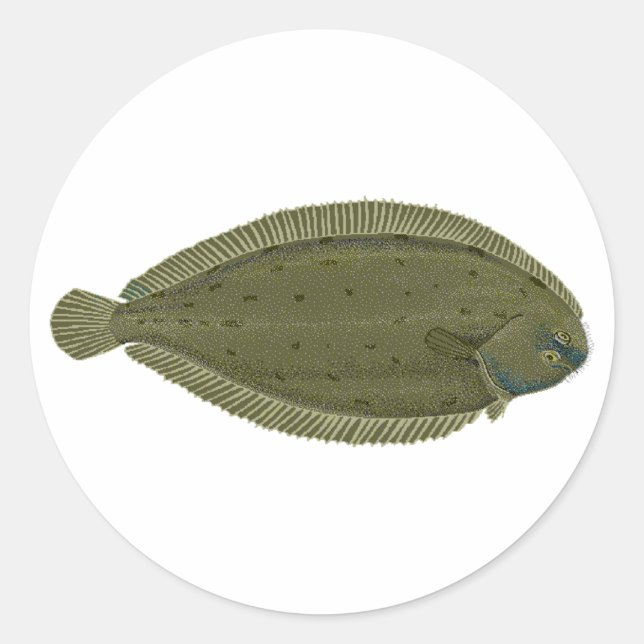 Seezunge Runder Aufkleber (Vorderseite)