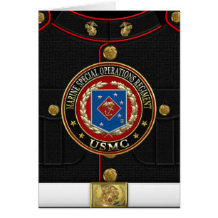 Seezungenregelung (MSOR) [3D]