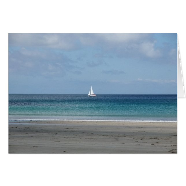 Segel-Boot (Vorderseite (Horizontal))