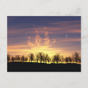 Segel die NachtSky Postkarte