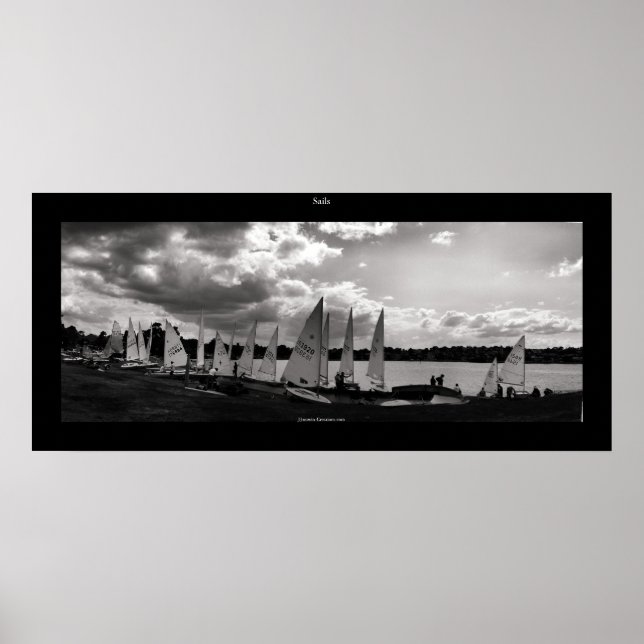 Segel Poster (Vorne)