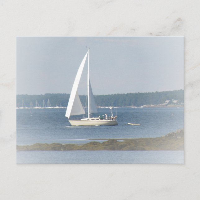 Segel-Postkarte Postkarte (Vorderseite)