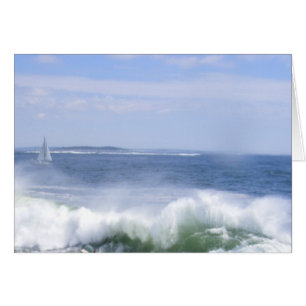 Segelboot