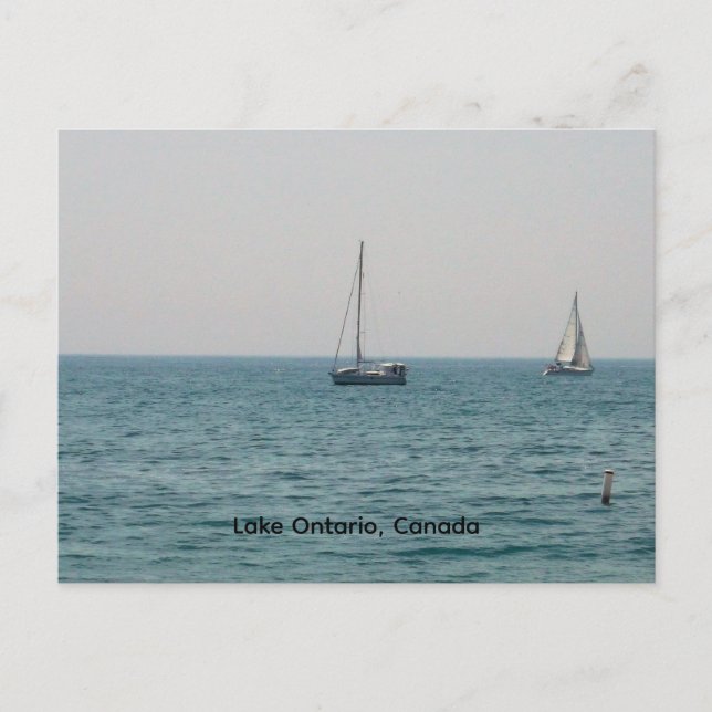 Segelboote auf dem Ontariosee Postkarte (Vorderseite)