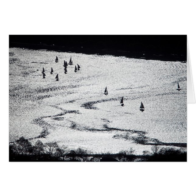 Segelboote in der Silhouette, Charles River (Vorderseite (Horizontal))