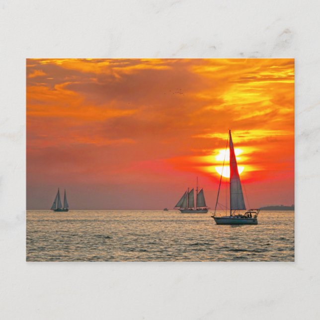 Segelboote in Key West bei Sonnenuntergang Postkarte (Vorderseite)