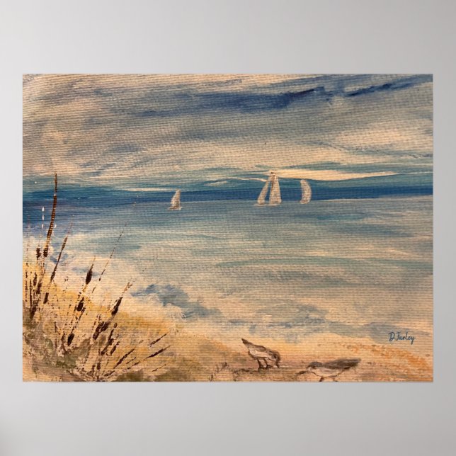 Segelboote Poster (Vorne)