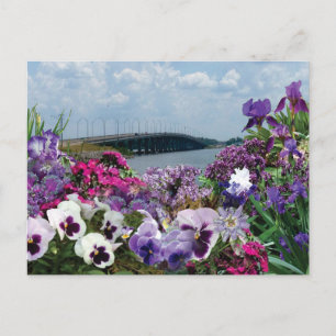 Segelbrücke und Blume 15r1 Postkarte