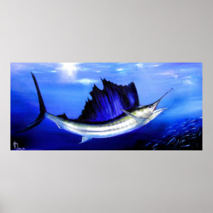 Segelfisch "Rollen-Leckerei" Poster