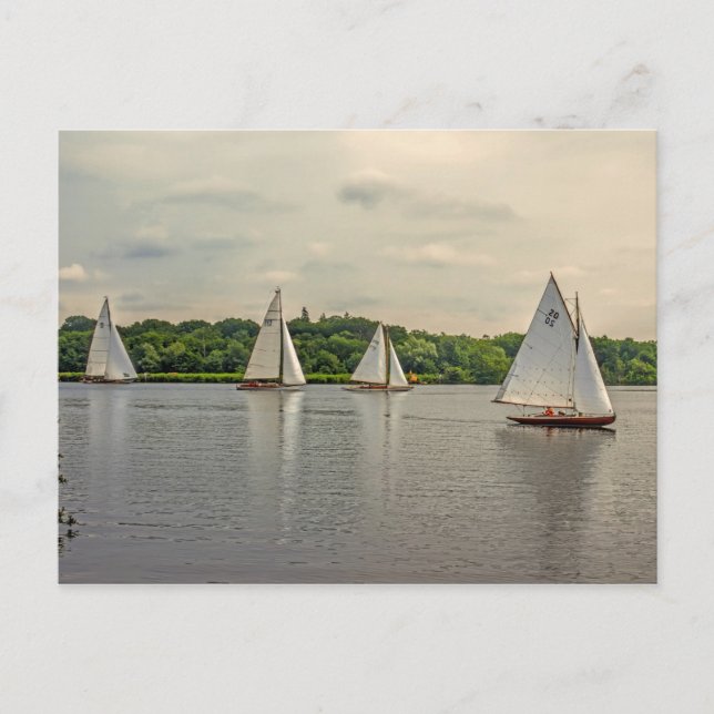 Segeln auf Wroxham Broad. Postkarte (Vorderseite)