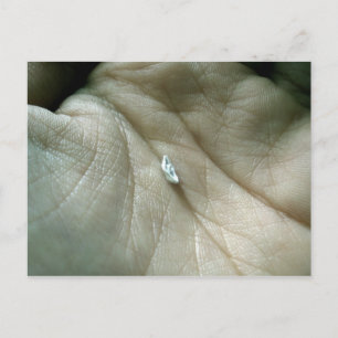 Segeln entlang der Lifeline Postkarte