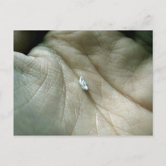 Segeln entlang der Lifeline Postkarte