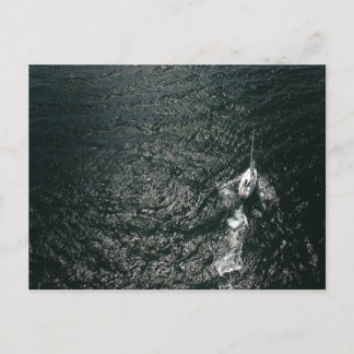 Segeln im Pazifikraum Postkarte