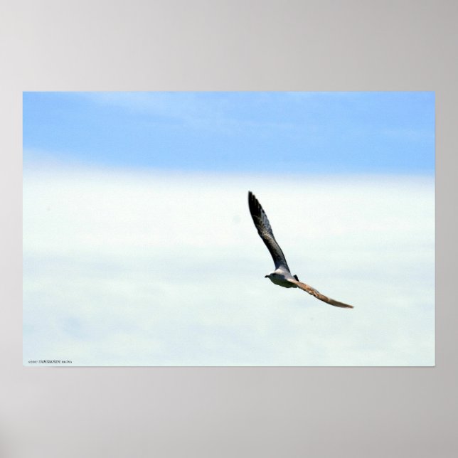 Segeln - Maßgeschneidert Poster (Vorne)
