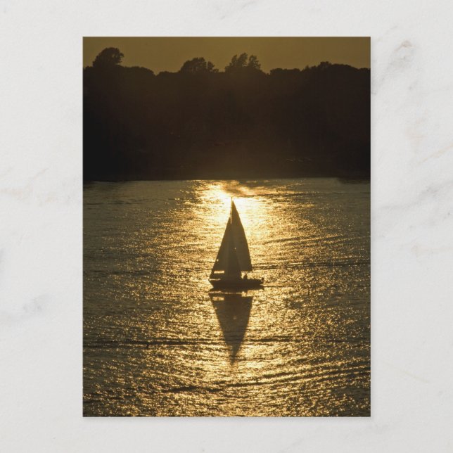 Segeln mit Schatten Postkarte (Vorderseite)